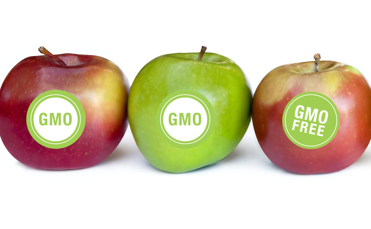 Last Hearing on GMO labeling in IL